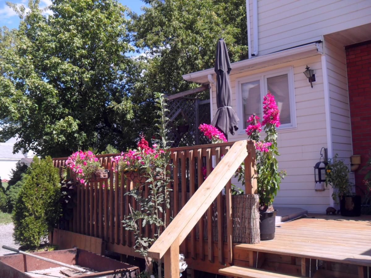 Homestead House B&B Hamilton Luaran gambar